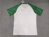 Palmeiras Training White Fans 1:1 Quality Soccer Jersey 23/24