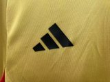 23/24 Sao Paulo Gold Fans 1:1 Quality Training Jersey
