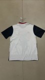 Japan Special Edition Fans Version 1:1 Quality Soccer Jersey 22/23