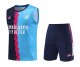 Arsenal Blue 1:1 Quality Training Vest（A-Set）23/24