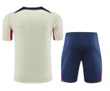 23/24 PSG Paris Beige 1:1 Quality Training Jersey（A-Set）