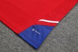 Bayern Munich Red 1:1 Quality Training Jersey（A-Set）23/24