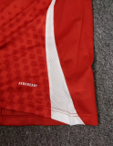 Chile Home Fans 1:1 Quality Soccer Jersey 24/25