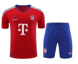 Bayern Munich Red 1:1 Quality Training Jersey（A-Set）23/24