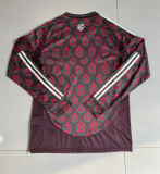 Mexico Home Fans Long sleeve 1:1 Quality Soccer Jersey 24/25