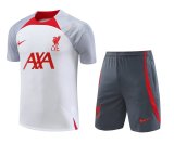 Liverpool White 1:1 Quality Training Jersey（A-Set）23/24