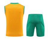 Bayern Munich Yellow 1:1 Quality Training Vest（A-Set）23/24