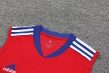 Bayern Munich Red 1:1 Quality Training Vest（A-Set）23/24