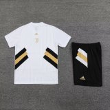 Juventus White 1:1 Quality Training Jersey（A-Set）23/24