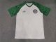 Palmeiras Training White Fans 1:1 Quality Soccer Jersey 23/24