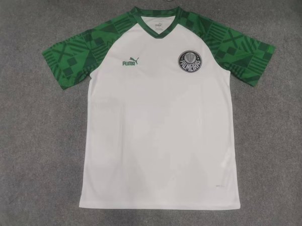 Palmeiras Training White Fans 1:1 Quality Soccer Jersey 23/24