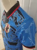 Japan Special Edition Player 1:1 Quality Soccer Jersey 23/24