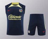 24/25 Club America  Blue 1:1  Quality Training Vest（A-Set）