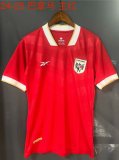 Panama Home Fans 1:1 Quality Soccer Jersey 24/25