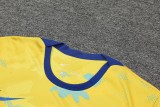 22/23 Chelsea Vest Training Suit Kit Yellow 1:1 Quality Training Jersey