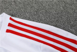 Bayern Munich Training Kit White 1:1 Quality Training Jersey 22/23