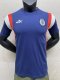 Chivas Blue Fans 1:1 Quality Training Shirts 23/24