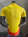 Colombia Home Player Yellow1:1 Quality Soccer Jersey 24/25