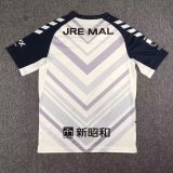JEF United Ichihara Away Fans 1:1 Quality Soccer Jersey（千叶市原）23/24