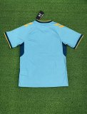 Southampton Away Fans 1:1 Quality Soccer Jersey 22/23