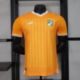 Cote d'Ivoire Home 3-Stars Player 1:1 Quality Soccer Jersey 23/24