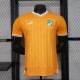 Cote d'Ivoire Home 3-Stars Player 1:1 Quality Soccer Jersey 23/24