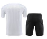 Juventus White 1:1 Quality Training Jersey（A-Set）23/24