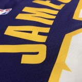 NBA Lakers retro purple V-neck 23 James with chip 1:1 Quality
