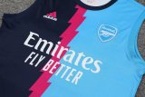 Arsenal Blue 1:1 Quality Training Vest（A-Set）23/24