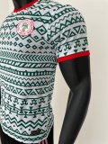 Nigeria Green Player 1:1 Quality Soccer Jersey 23/24