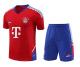 Bayern Munich Red 1:1 Quality Training Jersey（A-Set）23/24