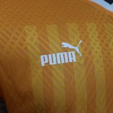 Cote d'Ivoire Home 3-Stars Player 1:1 Quality Soccer Jersey 23/24
