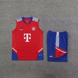 Bayern Munich Red 1:1 Quality Training Vest（A-Set）23/24