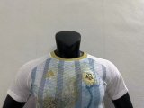 Argentina Commemorative Edition 3 Stars Player 1:1 Quality Soccer Jersey 2023