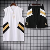 Juventus White 1:1 Quality Training Vest（A-Set）23/24