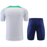 Inter Milan White 1:1 Quality Training Jersey（A-Set）22/23