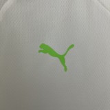 Palmeiras White 1:1 Quality Soccer Jersey 23/24