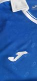 Cruz Azul Blue 9 Champioms Special Version Fans Long sleeve 1:1 Quality Soccer Jersey