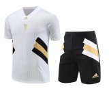 Juventus White 1:1 Quality Training Jersey（A-Set）23/24