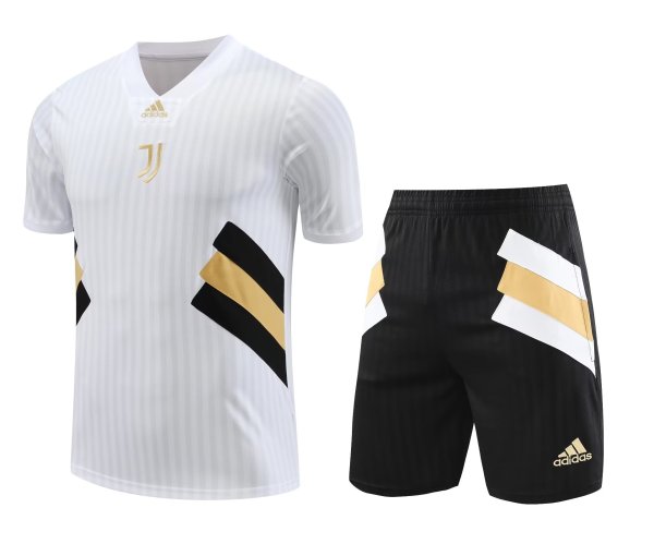 Juventus White 1:1 Quality Training Jersey(A-Set)23/24