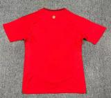 24/25 Wales Home Fans 1:1 Quality Soccer Jersey