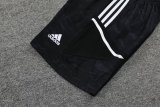 Juventus Purple 1:1 Quality Training Jersey（A-Set）23/24