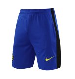 Inter Milan  Blue 1:1 Quality Training Vest（A-Set）24/25