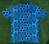 2023 Denmark Fans 1:1 Quality Training Jersey