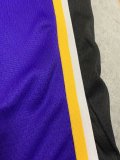 NBA Laker purple Davis No.3 1:1 Quality
