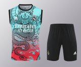 Real Madrid  Green 1:1 Quality Training Vest（A-Set）24/25