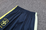 23/24 Brazil Blue Jacket Tracksuit 1:1 Quality