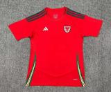 24/25 Wales Home Fans 1:1 Quality Soccer Jersey