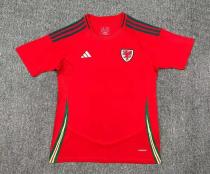24/25 Wales Home Fans 1:1 Quality Soccer Jersey