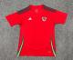 Wales Home Fans 1:1 Quality Soccer Jersey 24/25